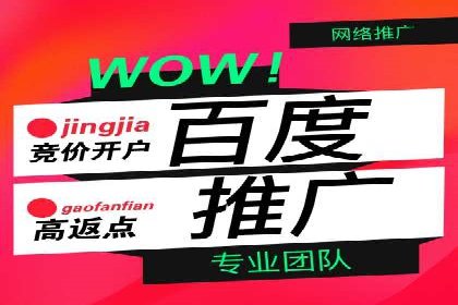 百度SEO推广公司案例分享：行业佼佼者经验
